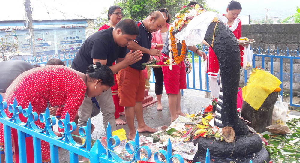 आज घरघरमा नागको तस्बीर टासेर नागपञ्चमी मनाइँदै