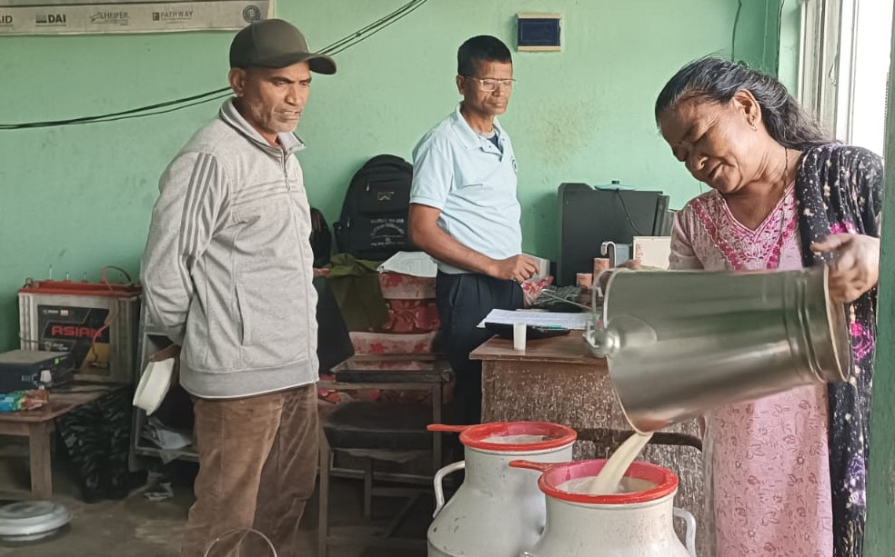 दूधको भुक्तानी नपाउँदा बर्दियाका किसान समस्यामा, डेढ करोड बढी रकम अड्कियो