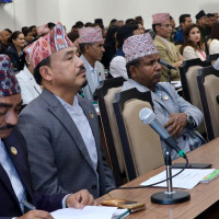 मार्किचोक सबस्टेसनमा प्राविधिक समस्या, तीन जिल्लामा विद्युत् अवरुद्ध
