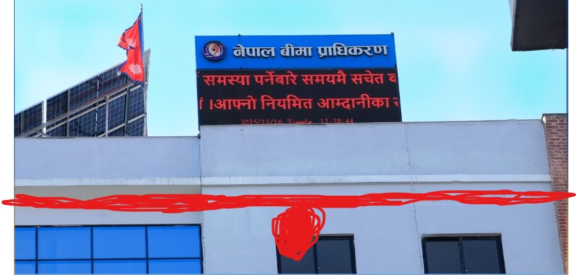 बीमा प्राधिकरणले बैंक मौज्दात लगानी गर्न बैंकहरूसँग शिलबन्दी प्रस्ताव माग्यो